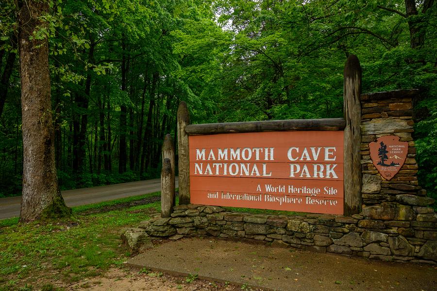 5 Things you Must Do in Mammoth Cave National Park This spring