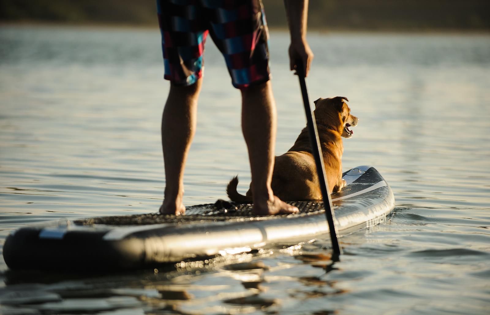 Paddling in the Kentucky River Palisades