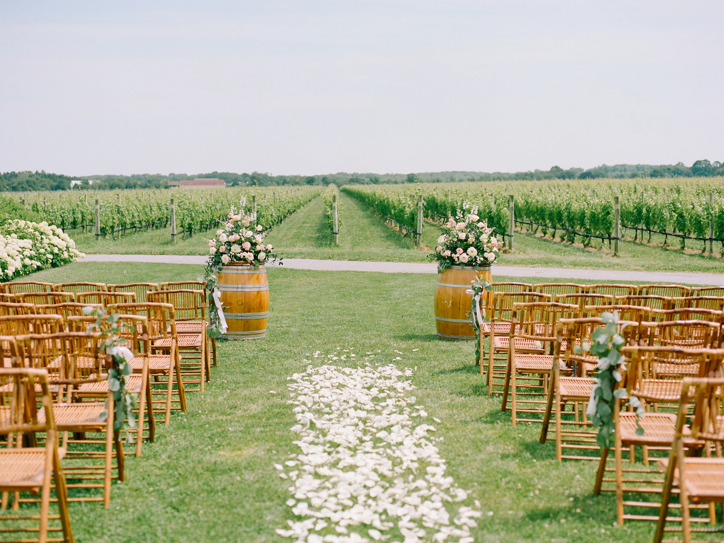 wedding aisle with rose petals leading to a vineyard