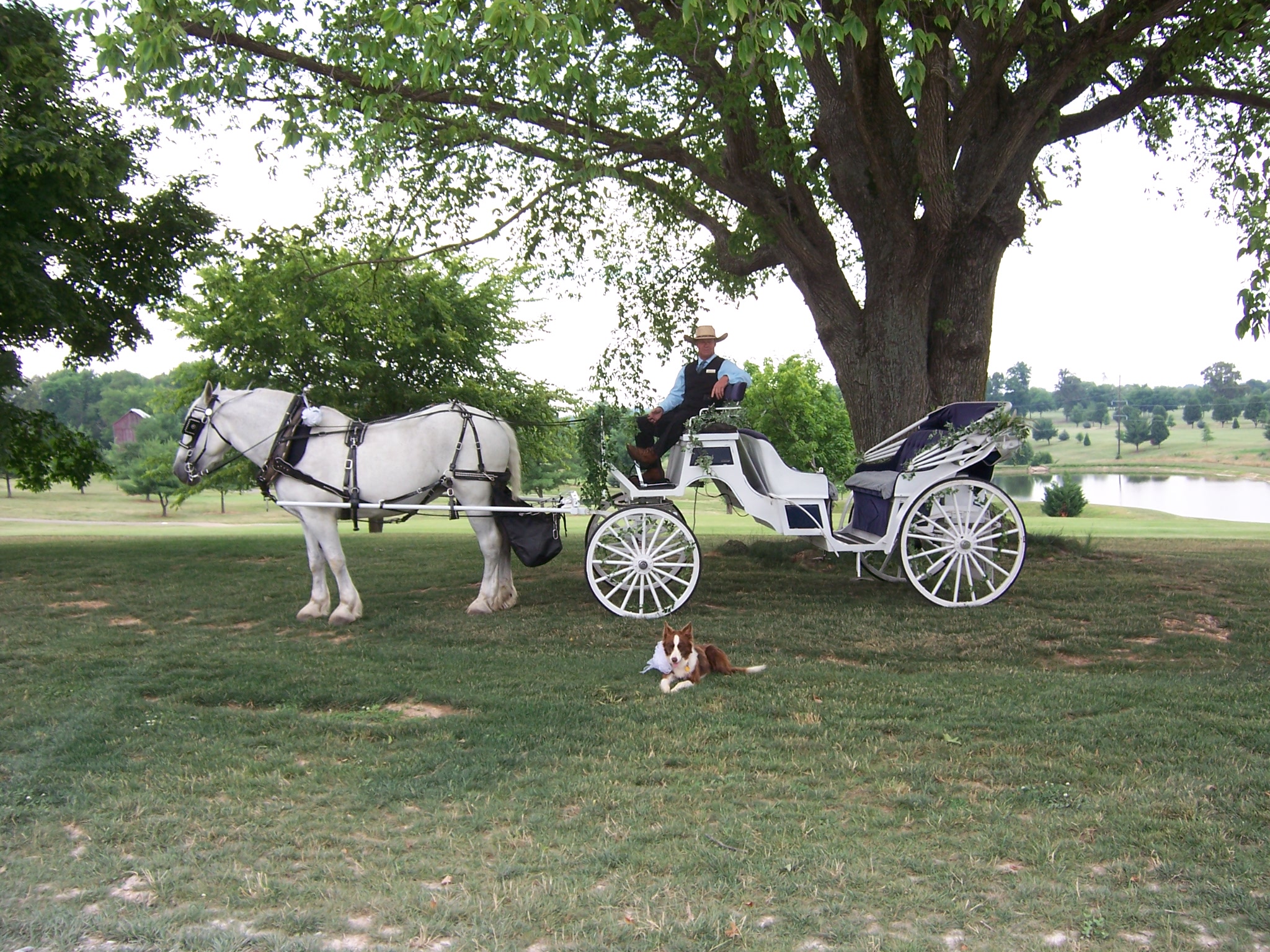 Rock'n B Farm,  Horse and Carriage