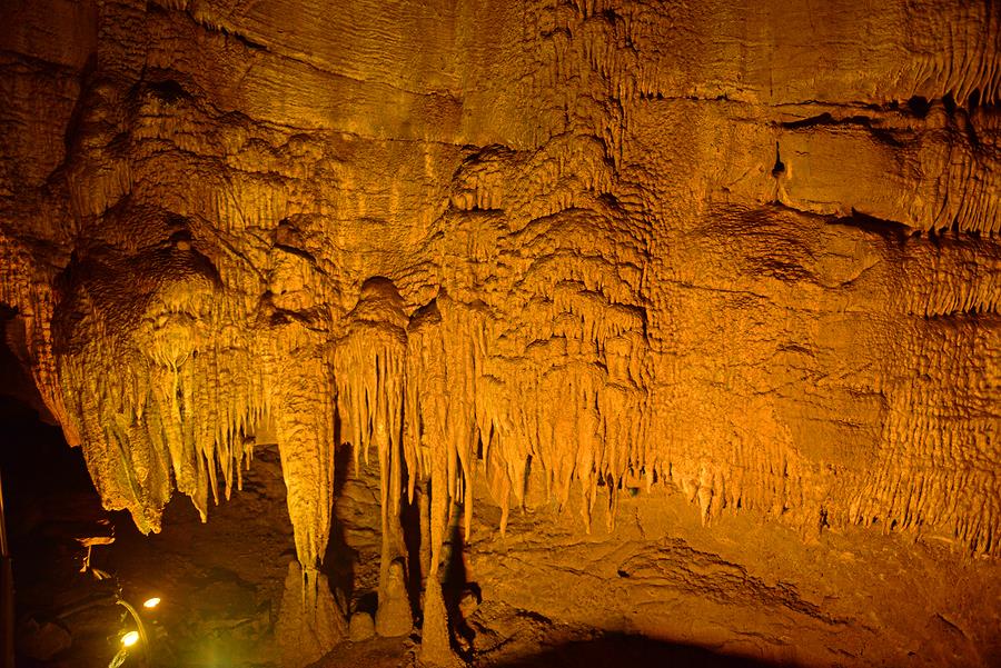 5 Things you Must do in Mammoth Cave National Park This Spring