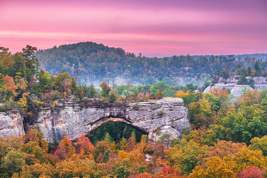 Best Places to see Fall Leaves in Kentucky