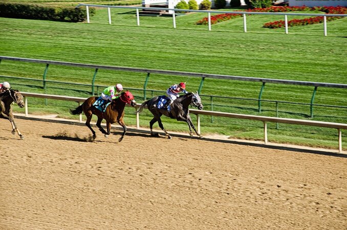 horses racing around a track