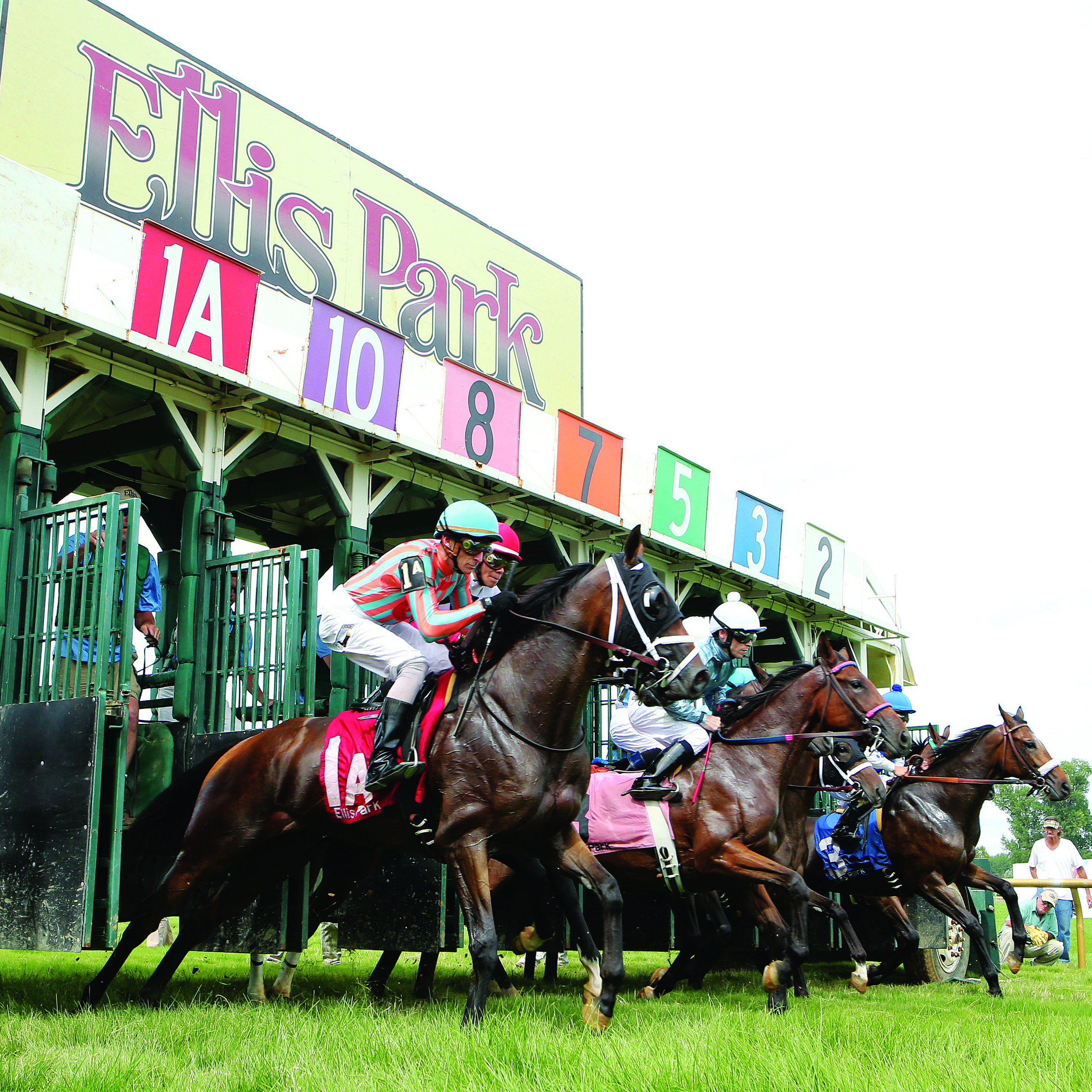 Ellis Park Race Course Inc.